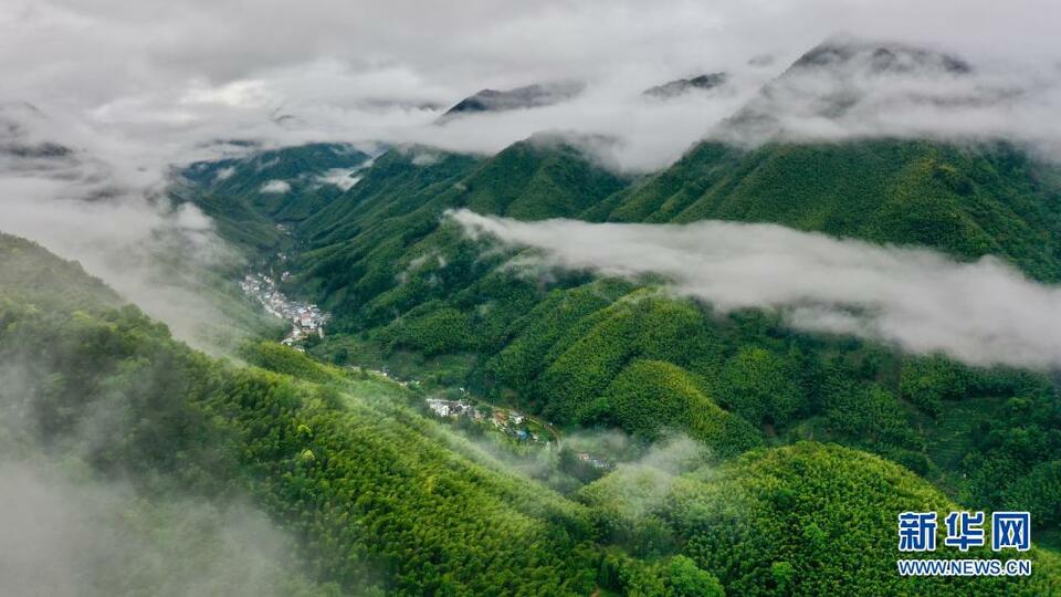 雨后武夷美