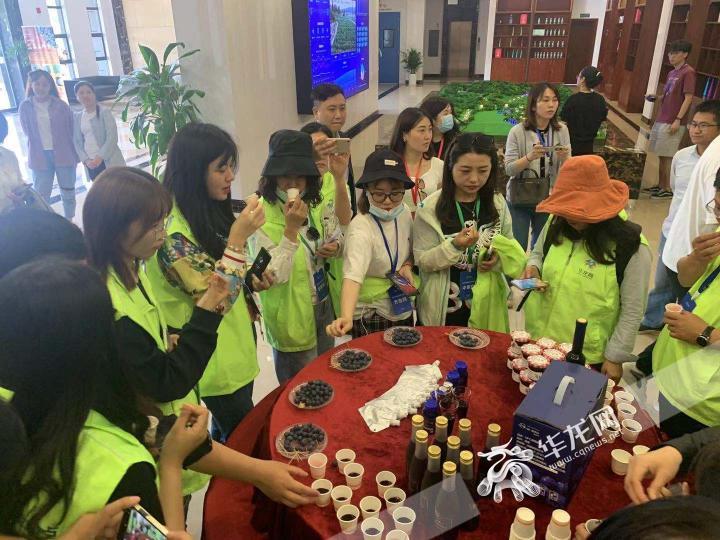 全国网媒记者走进南川大观 乡村振兴蔚为“大观”