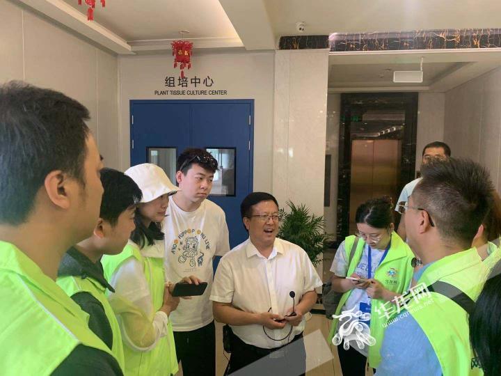 全国网媒记者走进南川大观 乡村振兴蔚为“大观”