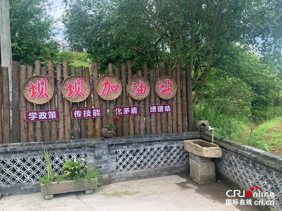 游大观、品茶香、赏院坝、鉴蓝莓……重庆南川乡村振兴画卷如此多彩！_fororder_16