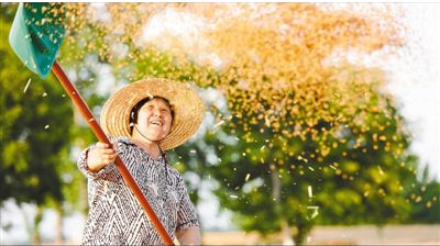 天晴朗 晒麦忙_fororder_安徽