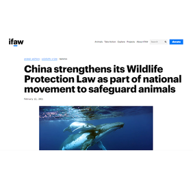 国际爱护动物基金会网站：_fororder_动物基金会