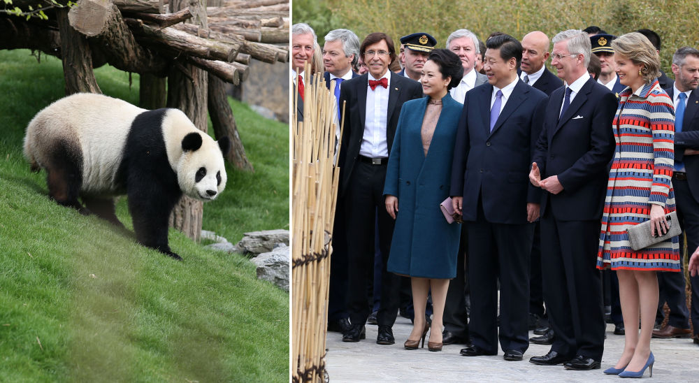 第一报道 | 关心、希望和爱，习主席带给各国孩子们的浓浓暖意_fororder_2