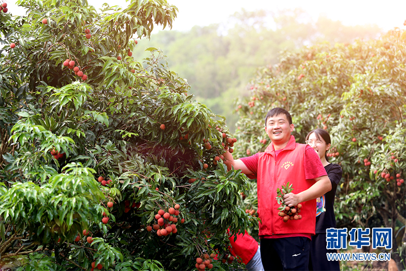 沿着高速看中国｜云湛高速：粤西连通大湾区的“腾飞大道”