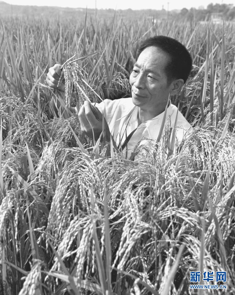“杂交水稻之父”袁隆平去世
