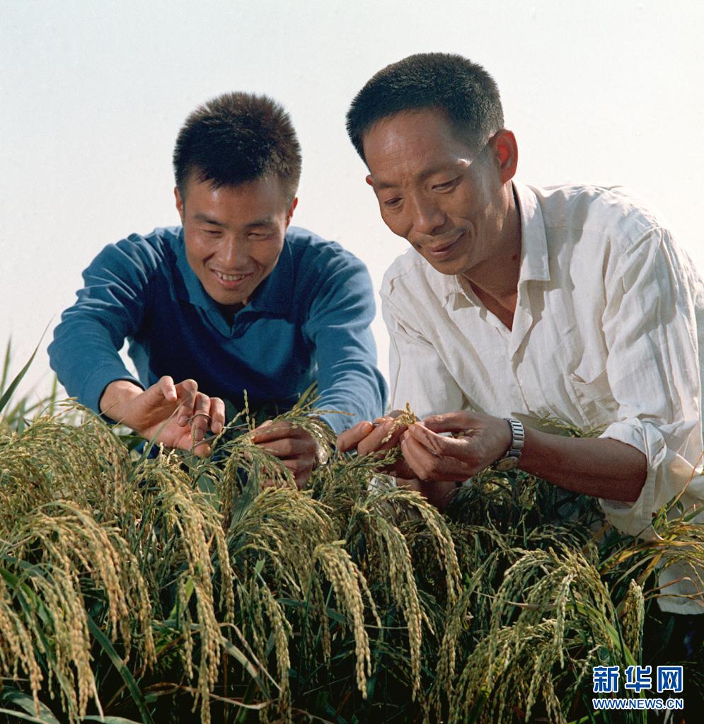 “杂交水稻之父”袁隆平去世