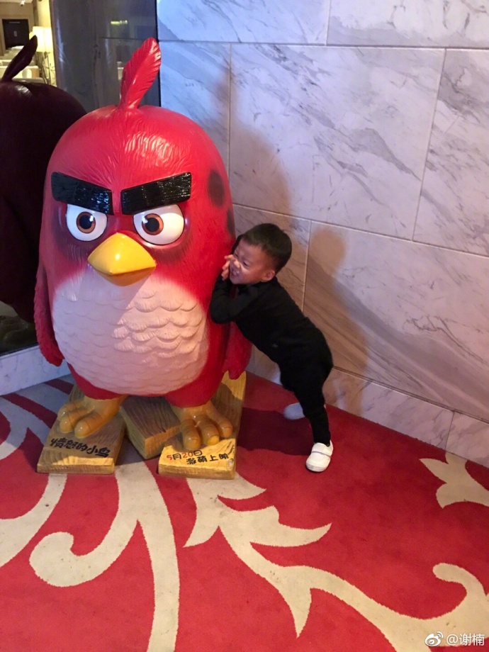 吴京老婆称不想生二胎:没法把爱分给其他孩子