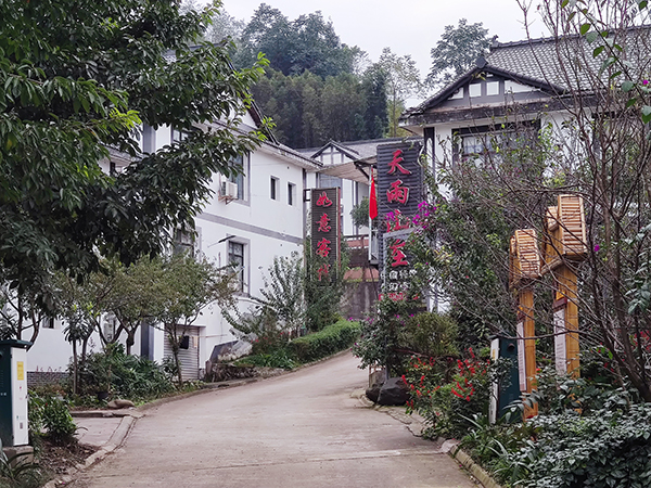 眉山洪雅：“三美”引领促发展 乡村振兴在路上_fororder_光明新村一景-摄影-余静
