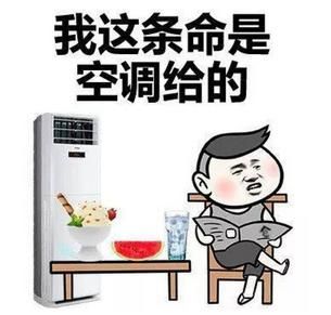 大夏天还出门浪 谁给你的勇气？GS8吗？