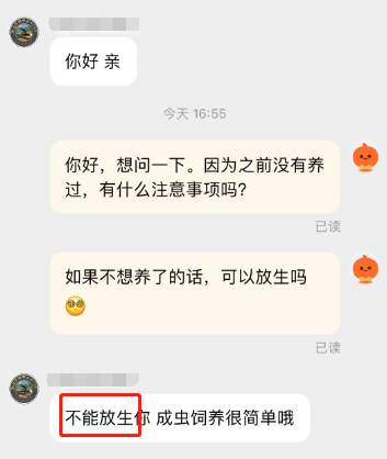 尝试蒙混过“关”的外来物种