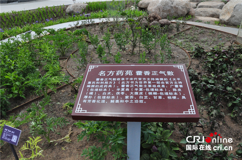 图片默认标题_fororder_7.JPG
