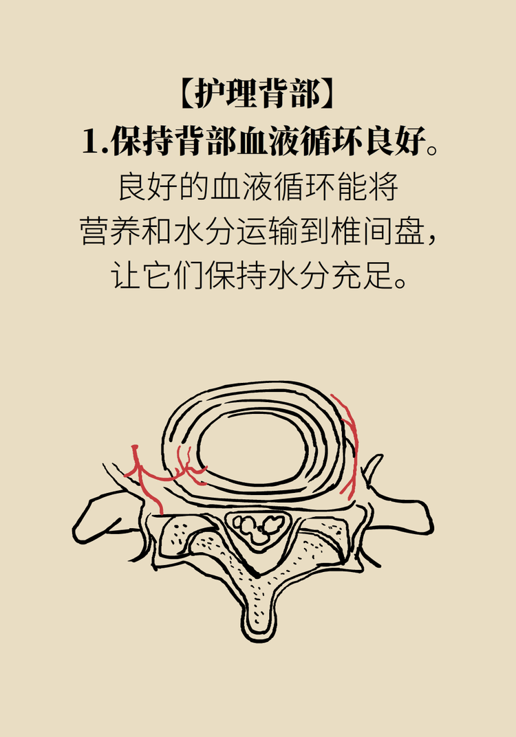 背部僵硬疼痛？你的椎间盘该“补水”了
