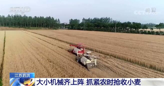 全国多地迎来夏粮丰收季 各地抢抓农时大小机械齐上阵