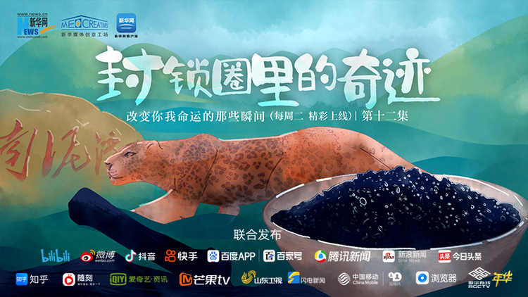 改变你我命运的那些瞬间丨封锁圈里的奇迹