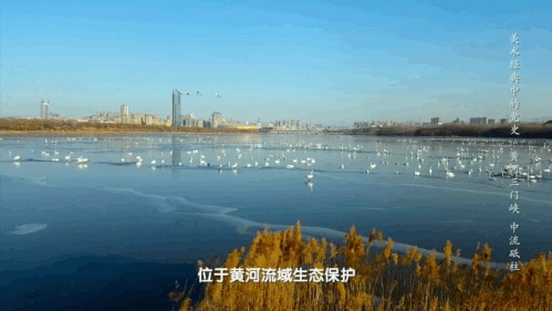 “万里黄河第一坝”！《美术经典中的党史》带你走近油画《黄河三门峡·中流砥柱》……