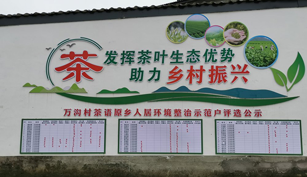 眉山青神：茶香飘沃野 产业促振兴_fororder_西龙镇万沟村人居环境整治公示墙-供图-青神县委宣传部