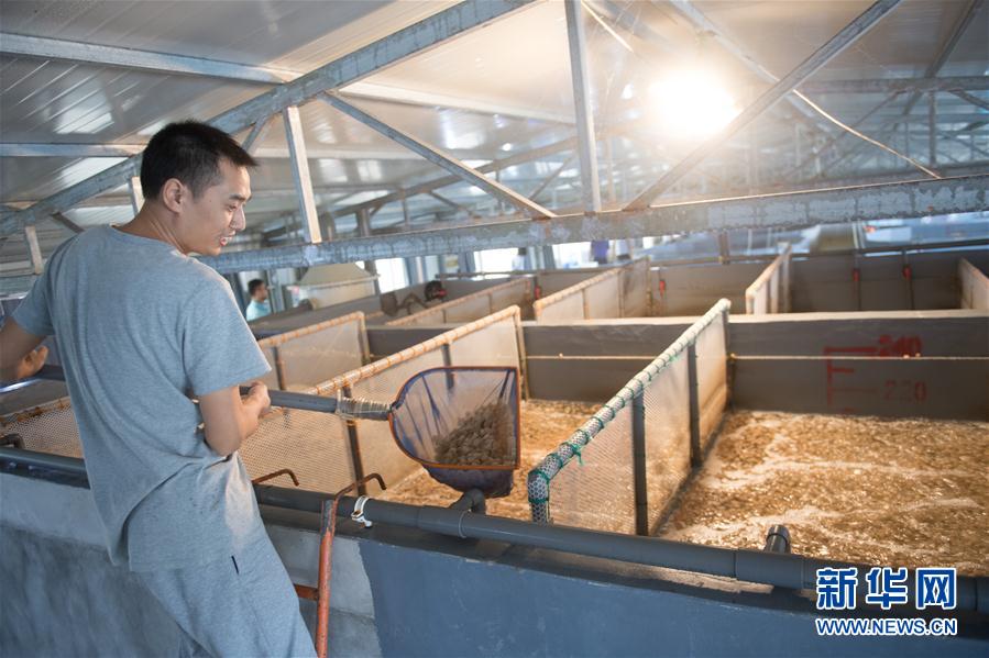舟山助推传统渔业转型升级