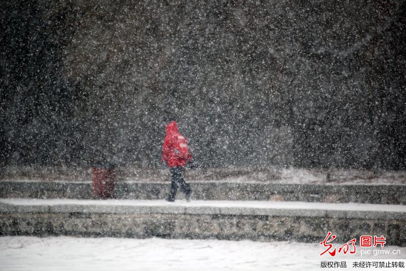 瑞雪兆丰年 全国各地普遍降雪