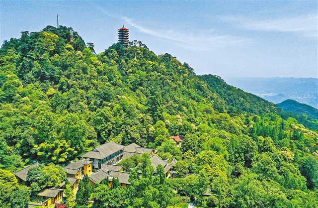 重庆缙云山综合整治三年来 “靠山吃山”变为护山养山
