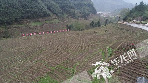 【区县】习声回响①|太阳出来喜洋洋 大山里这家人把生活过得像首歌