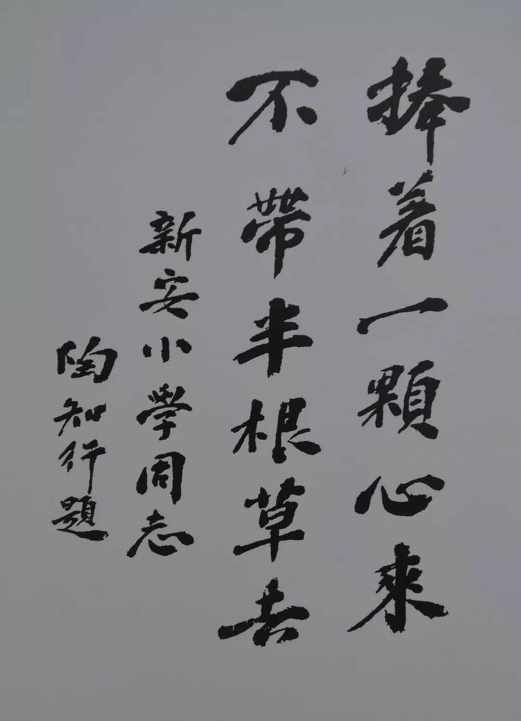 这个“六一”，收到总书记回信的这所小学有何特殊之处？