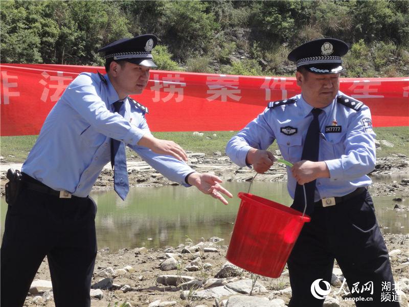 湖北郧西放流鱼苗8万尾 修复汉江生态环境