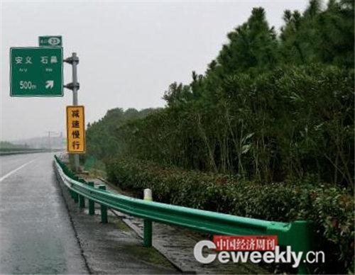 苏荣造林大跃进：数百亿工程让田里种树岭上长草