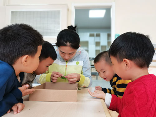培养学习能力 收获思维成长 项目式学习为幼儿终身发展奠基_fororder_000001