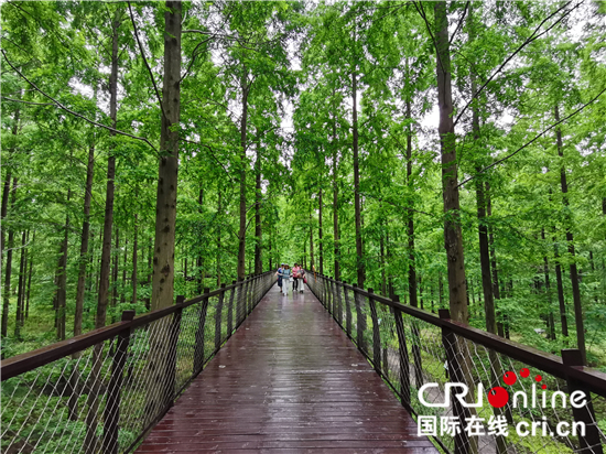【全域旅游看江苏】东台市：旅居相宜 文化惠民_fororder_微信图片_20210616235135