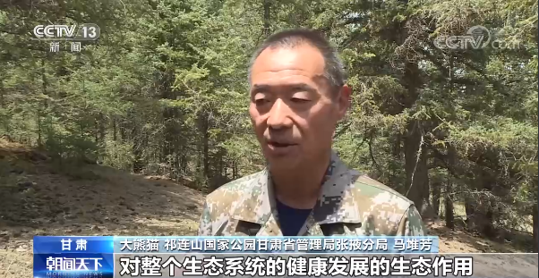 野生动物、热带雨林……第一批国家公园，你期待吗？