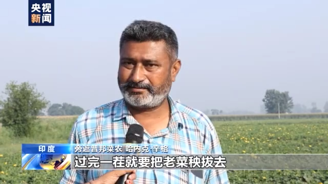 印度疫情致蔬菜运销困难 菜农被迫贱卖弃菜