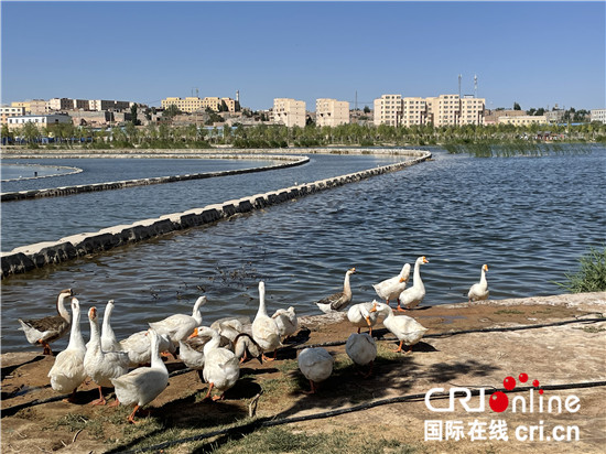 （外籍记者新疆行）喀什市北湖公园——沙漠中的城市绿洲_fororder_喀什市北湖公园水趣盎然.JPG
