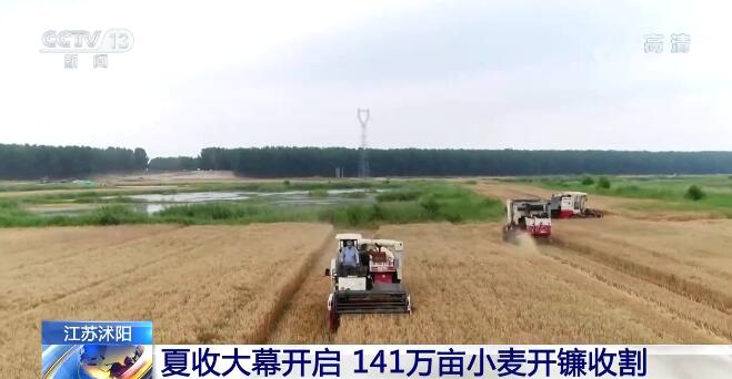 全国多地迎来夏粮丰收季 各地抢抓农时大小机械齐上阵