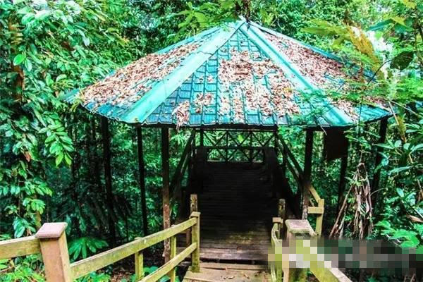 探访亚洲“土豪”文莱 买地建房只需5RMB_大粤网_腾讯网