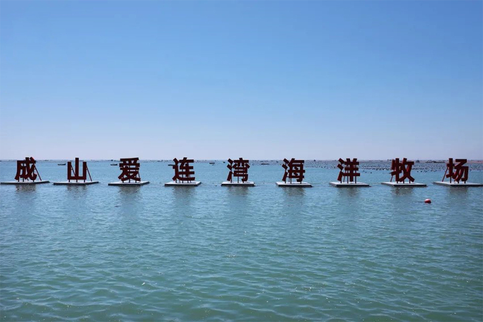 过一把“渔夫”的野趣生活，这份渔耕日记请查收！