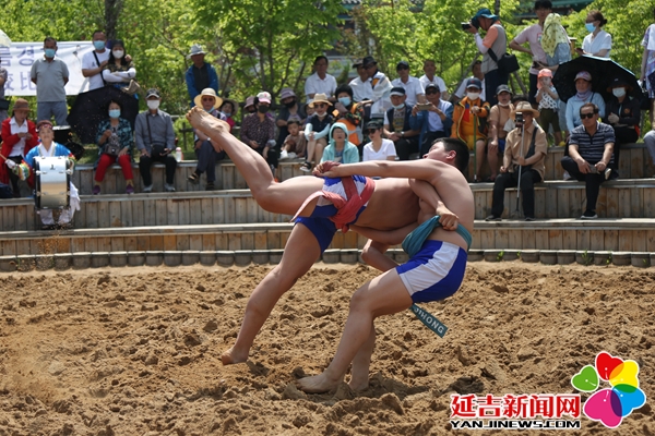 【组图】迎端午 朝鲜族摔跤比赛火热开赛