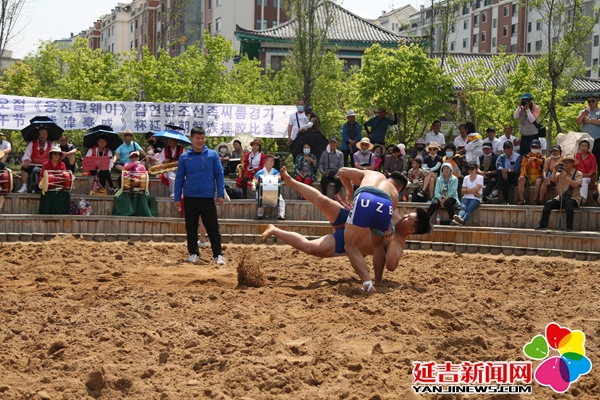【组图】迎端午 朝鲜族摔跤比赛火热开赛