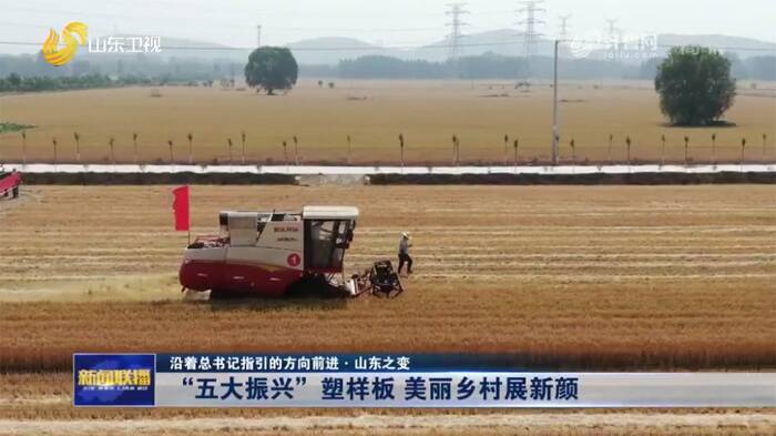 【沿着总书记指引的方向前进·山东之变】“五大振兴”塑样板 美丽乡村展新颜