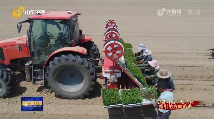 【沿着总书记指引的方向前进·山东之变】“五大振兴”塑样板 美丽乡村展新颜