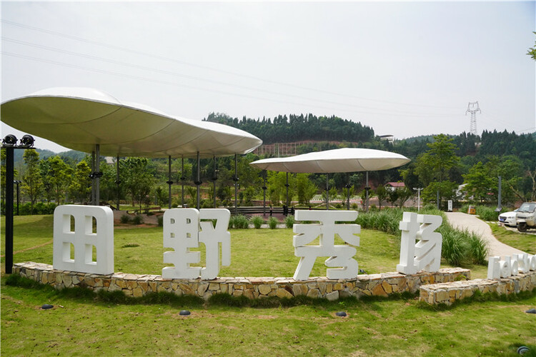 （转载）乡村振兴的“高槐之问”和“较场之谋”