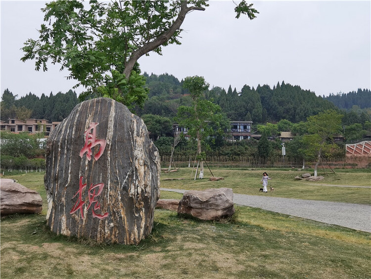 （转载）乡村振兴的“高槐之问”和“较场之谋”