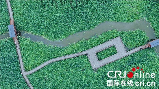 【全域旅游看江苏】如皋市：如皋如歌 常来长寿_fororder_微信图片_20210616232645