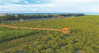 北海正扬起向海经济的风帆远航  ——写在习近平总书记视察北海三周年之际