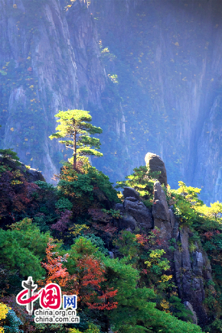 林染五彩晚霞多姿 打造今秋别样黄山(图)