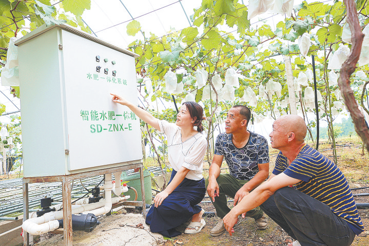 碳中和的福建农业担当_fororder_第1页-8.PNG