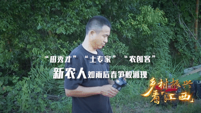 “五美”乡村 “赣”出精彩——乡村振兴看江西