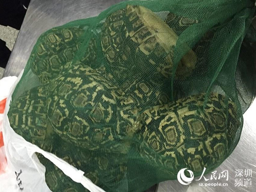 图片默认标题