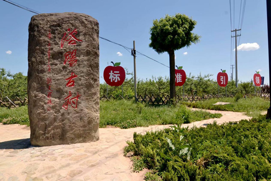陕旅集团探索陕西以农兴旅、农旅融合发展模式 助推乡村振兴发展