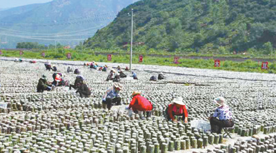 和和顺顺奔小康