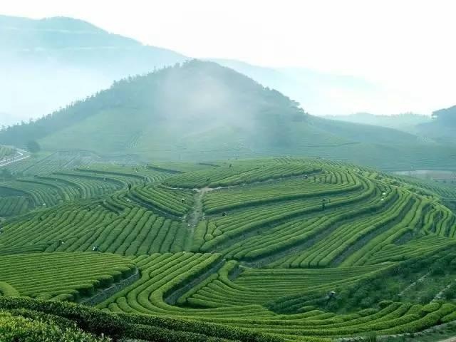 中国最美的10个县 最适合买房养老